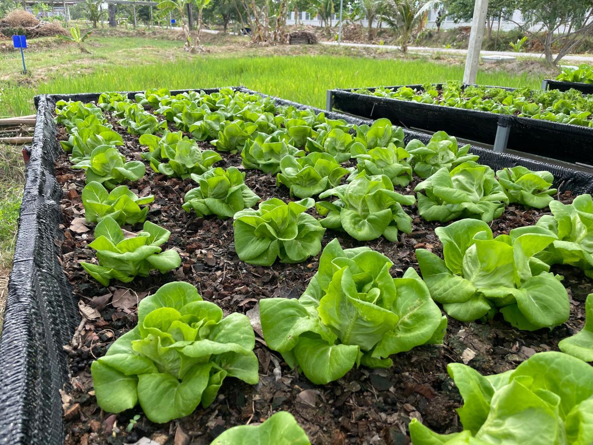 Turtle Bay Eco Luxe Hua Hin Hotel Khautau Kültér fotó